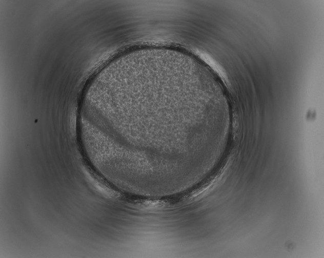 X0000094460493200712061227