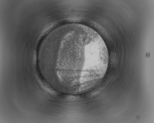 X0000094460494200712061227