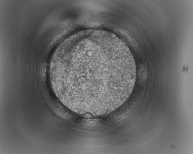 X0000094460495200712061226