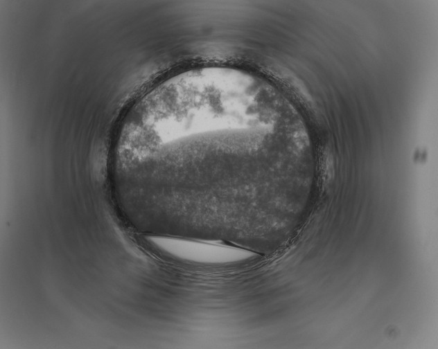 X0000094460496200712061226