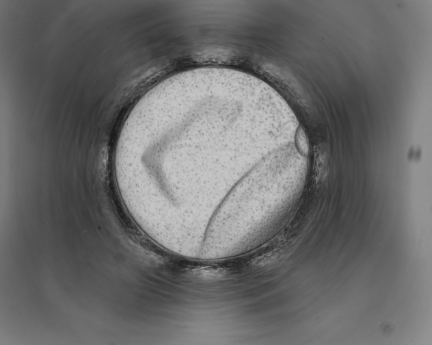 X0000094460498200712061226