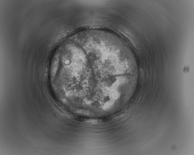 X0000094460499200712061226