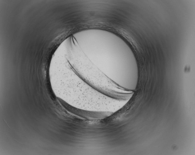 X0000094460501200712061226