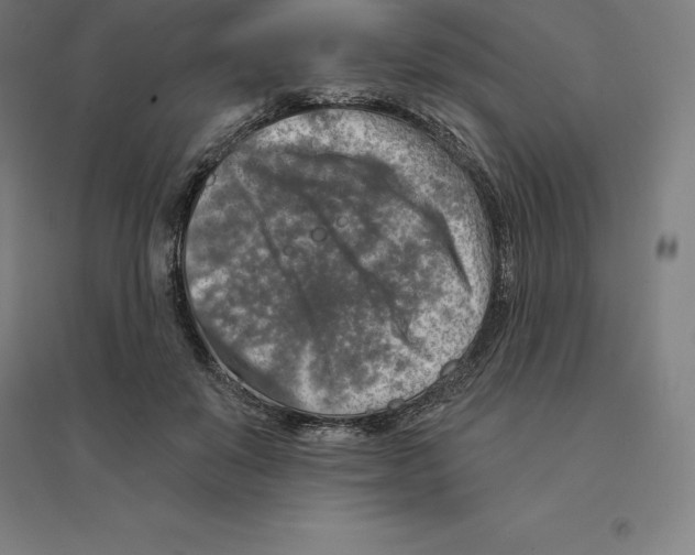 X0000094460503200712061226