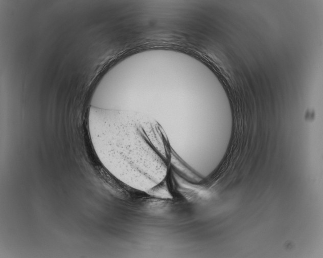 X0000094460504200712061226