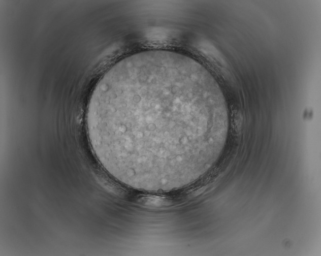 X0000094460507200712061226