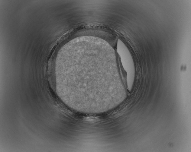 X0000094460508200712061226