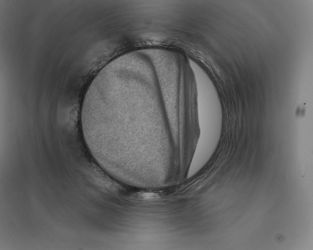 X0000094460509200712061226