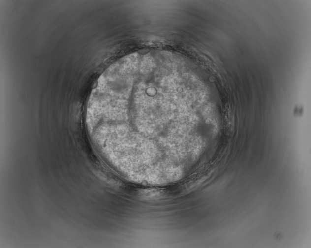 X0000094460511200712061226