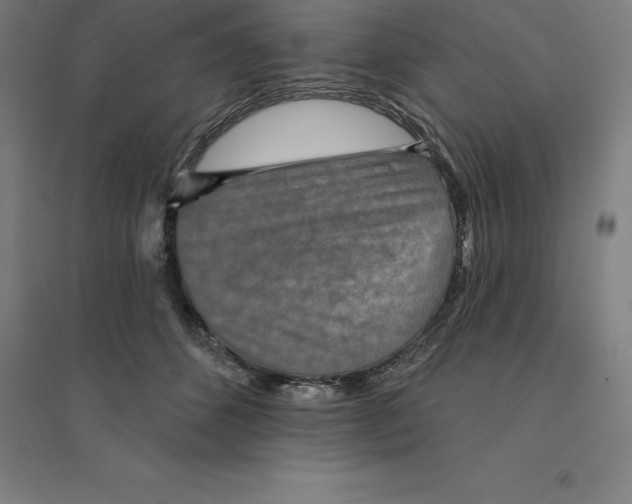 X0000094460512200712061226