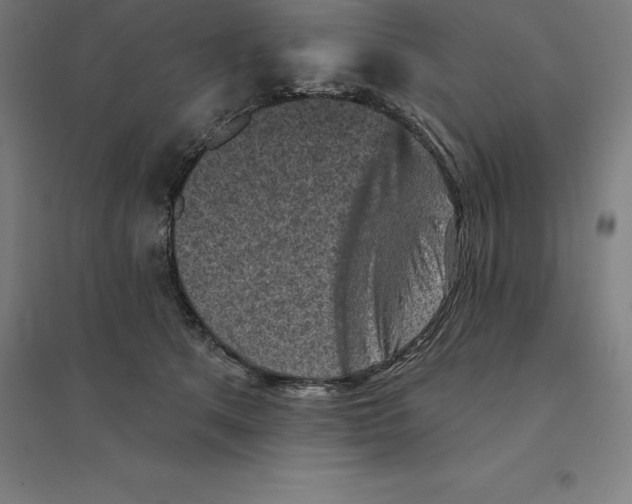 X0000094460513200712061226