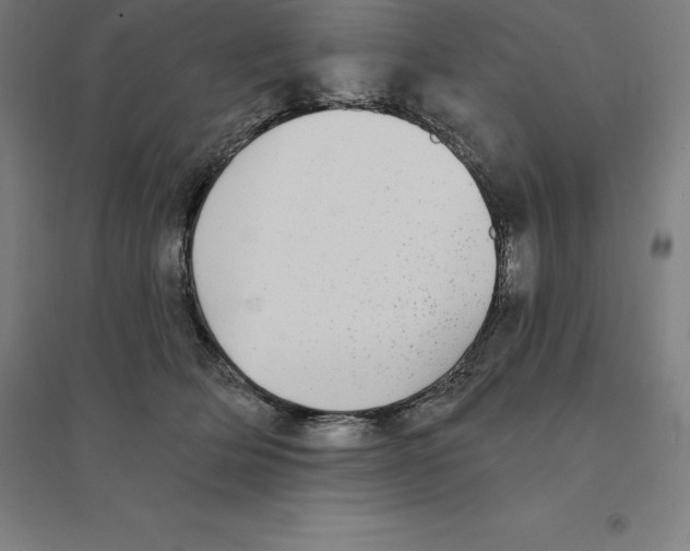 X0000094460514200712061226