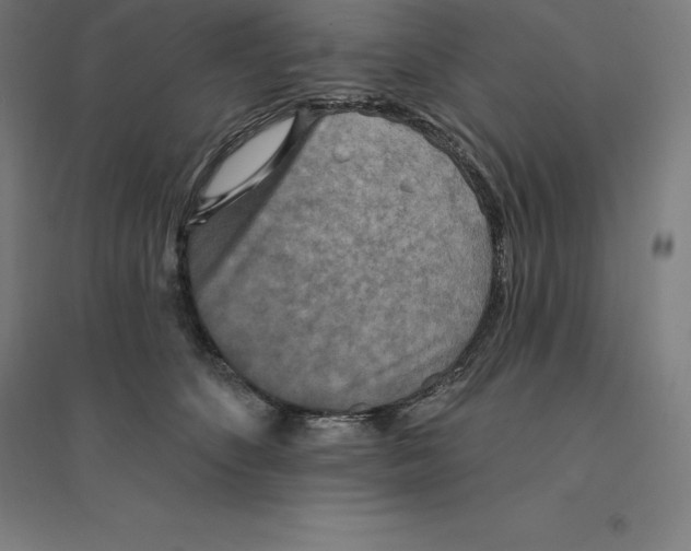 X0000094460516200712061226