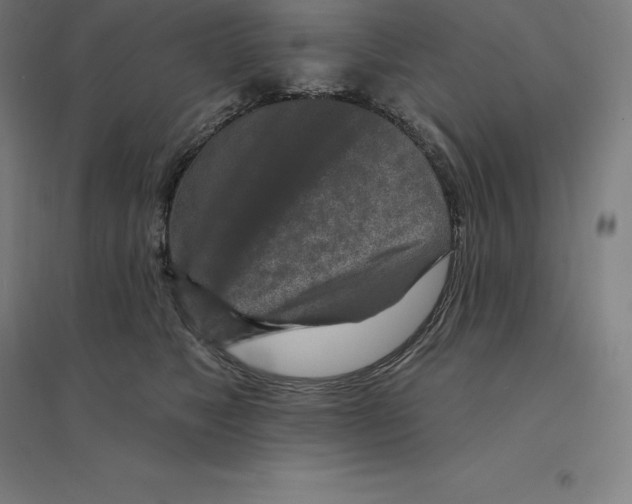 X0000094460517200712061226