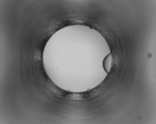 X0000094460518200712061226