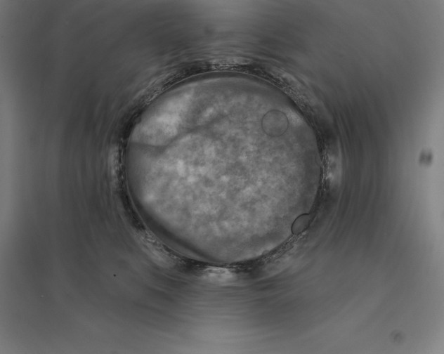 X0000094460519200712061226