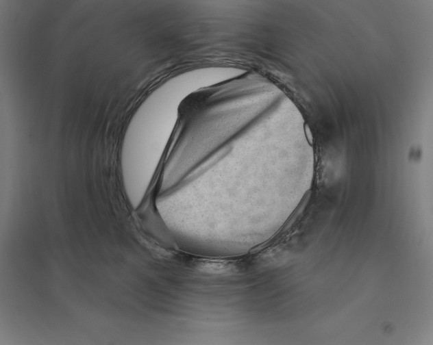 X0000094460521200712061226