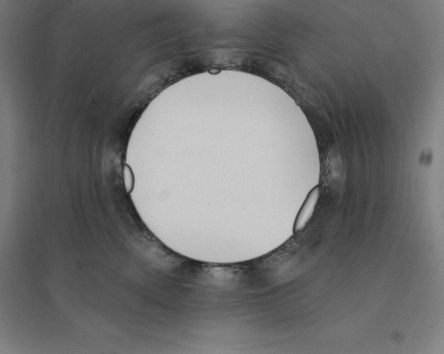 X0000094460522200712061226