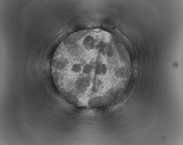 X0000094460523200712061226