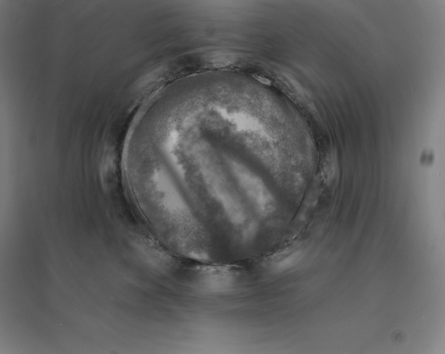 X0000094460524200712061226