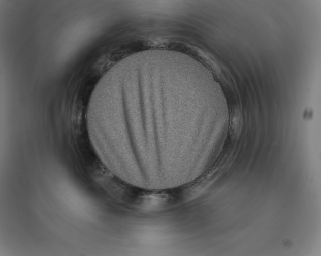 X0000094460525200712061226