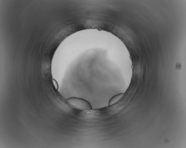 X0000094460526200712061226