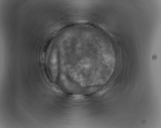 X0000094460528200712061226