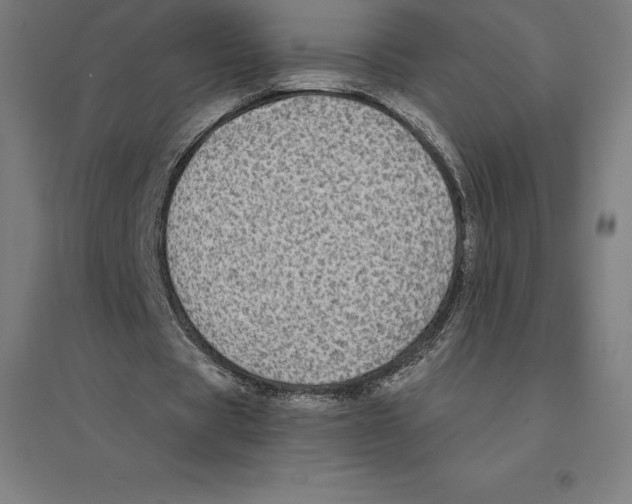 X0000094460529200712061225