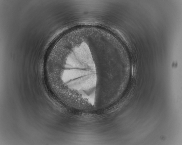 X0000094460531200712061225