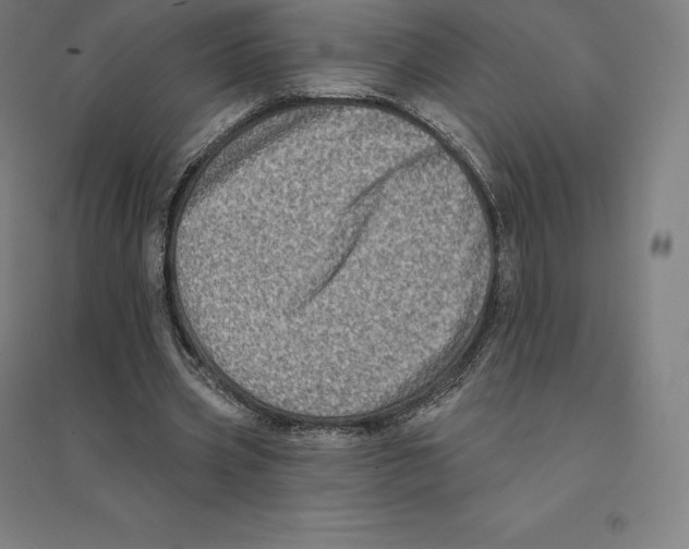 X0000094460533200712061225