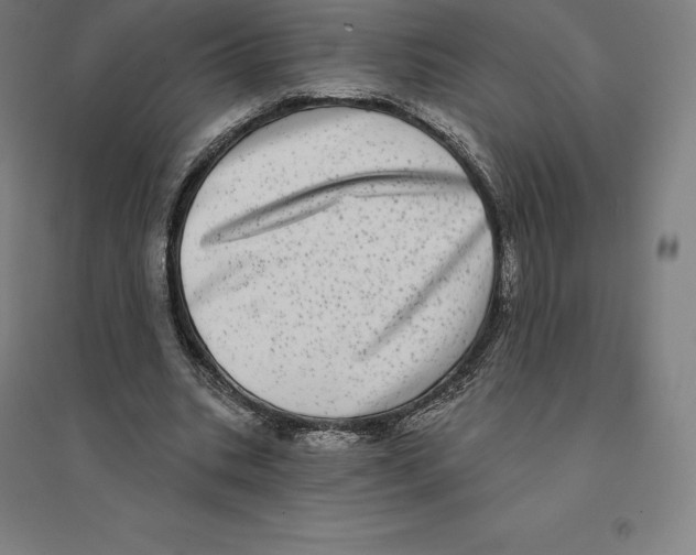 X0000094460535200712061225