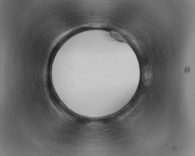 X0000094460536200712061225