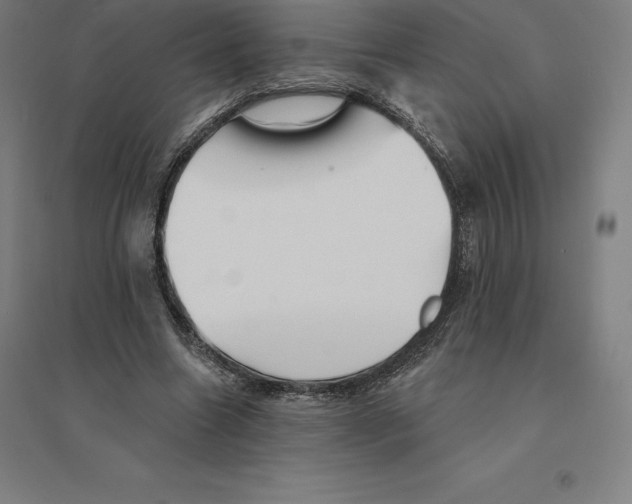 X0000094460538200712061225