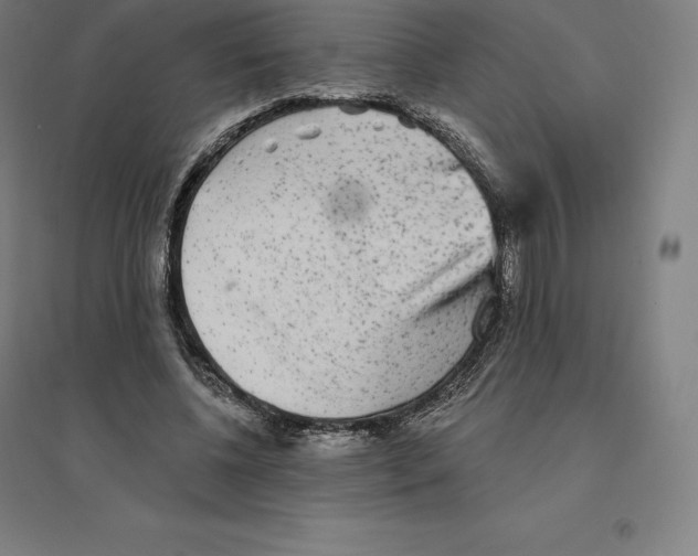 X0000094460540200712061226