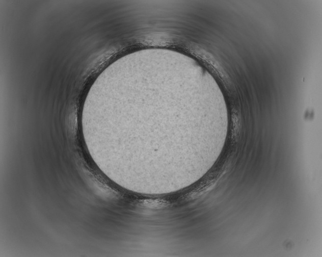 X0000094460541200712061226