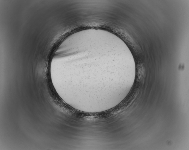 X0000094460544200712061226