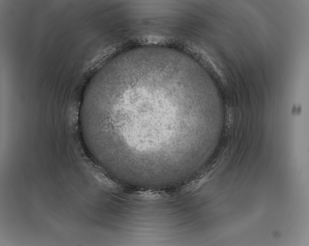 X0000094460545200712061226