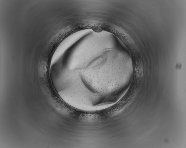 X0000094460546200712061226