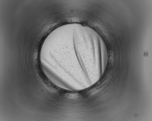 X0000094460548200712061226