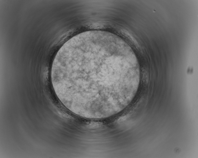 X0000094460549200712061226