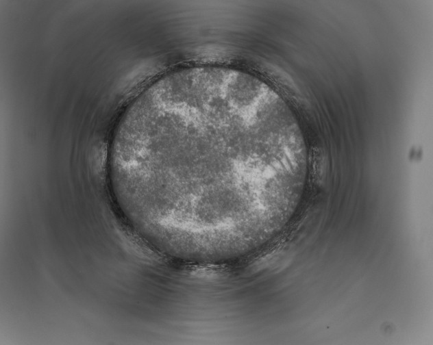 X0000094460550200712061226