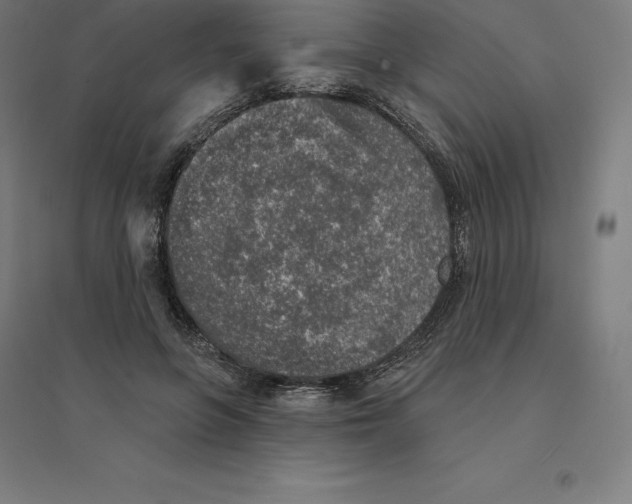 X0000094460551200712061226