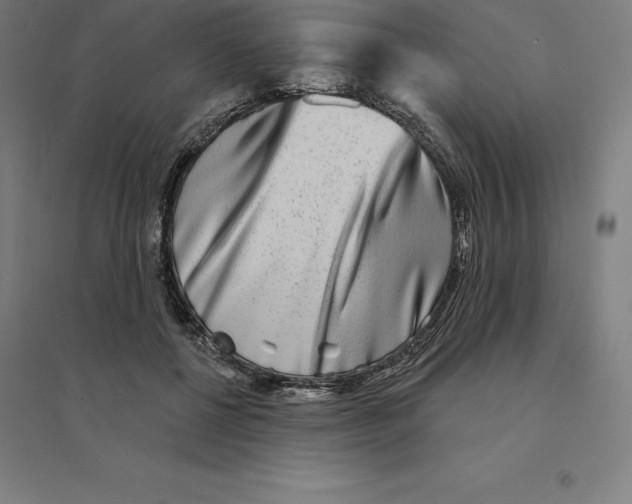 X0000094460552200712061226