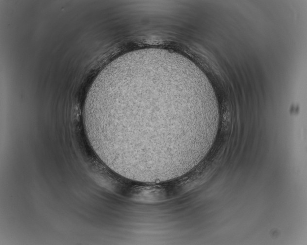 X0000094460555200712061226