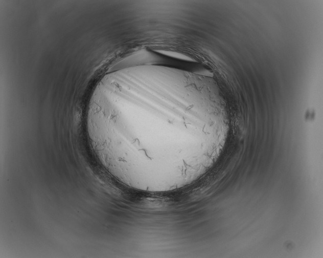 X0000094460556200712061226