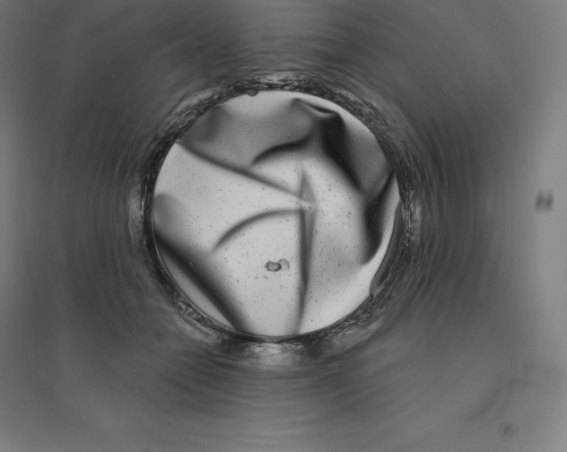 X0000094460558200712061226