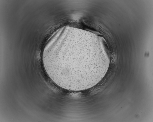 X0000094460560200712061226