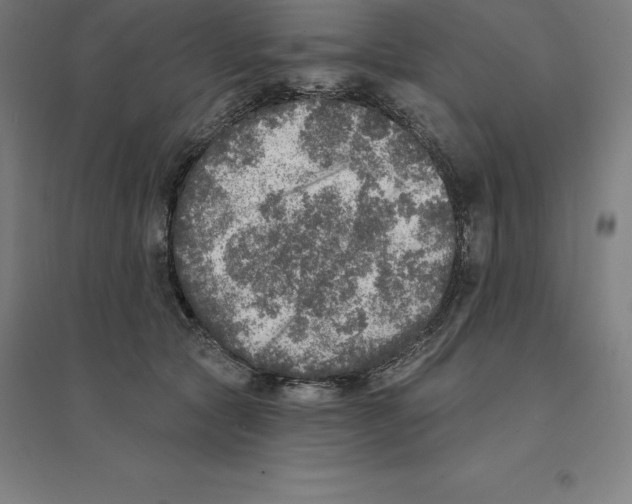 X0000094460561200712061226