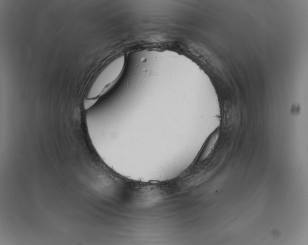 X0000094460562200712061226