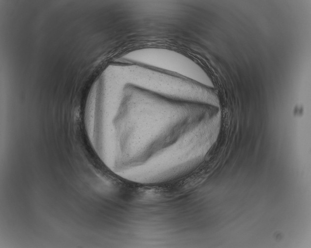 X0000094460564200712061226